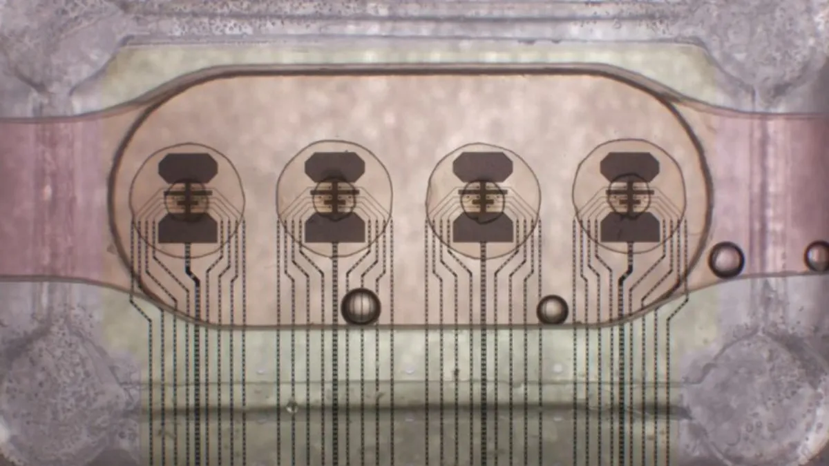 The World's First Bioprocessor Powered by Human Brain Organoids